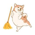 Wipe Your Paws